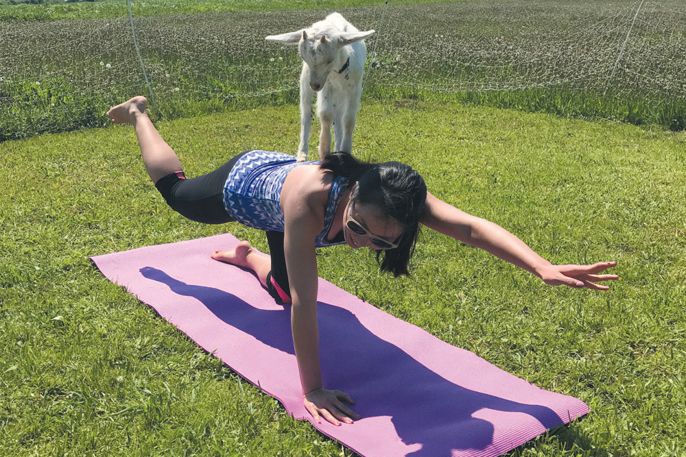 Add Goat Pose to Your Yoga Routine in Middletown So Rhode Island