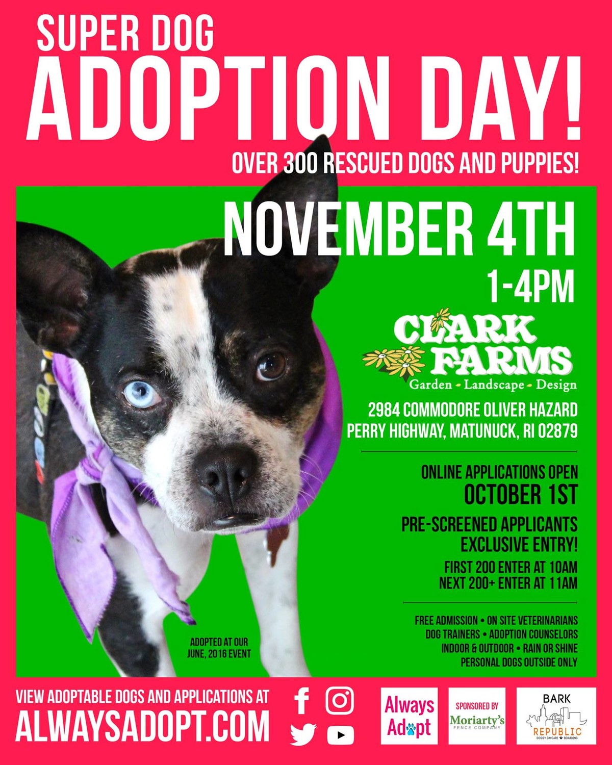 Dog Adoption Events In Rhode Island Dog Adoption Events In Rhode Island