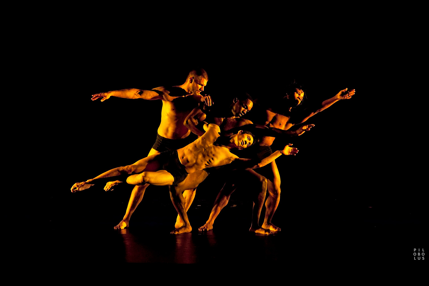 Pilobolus - Come to your Senses | Providence Monthly | providenceonline.com Pilobolus - Come to your Senses | Providence Monthly | providenceonline.com