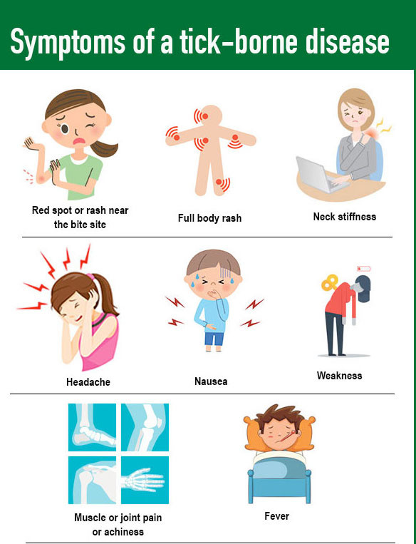 Pugs and rash near anus