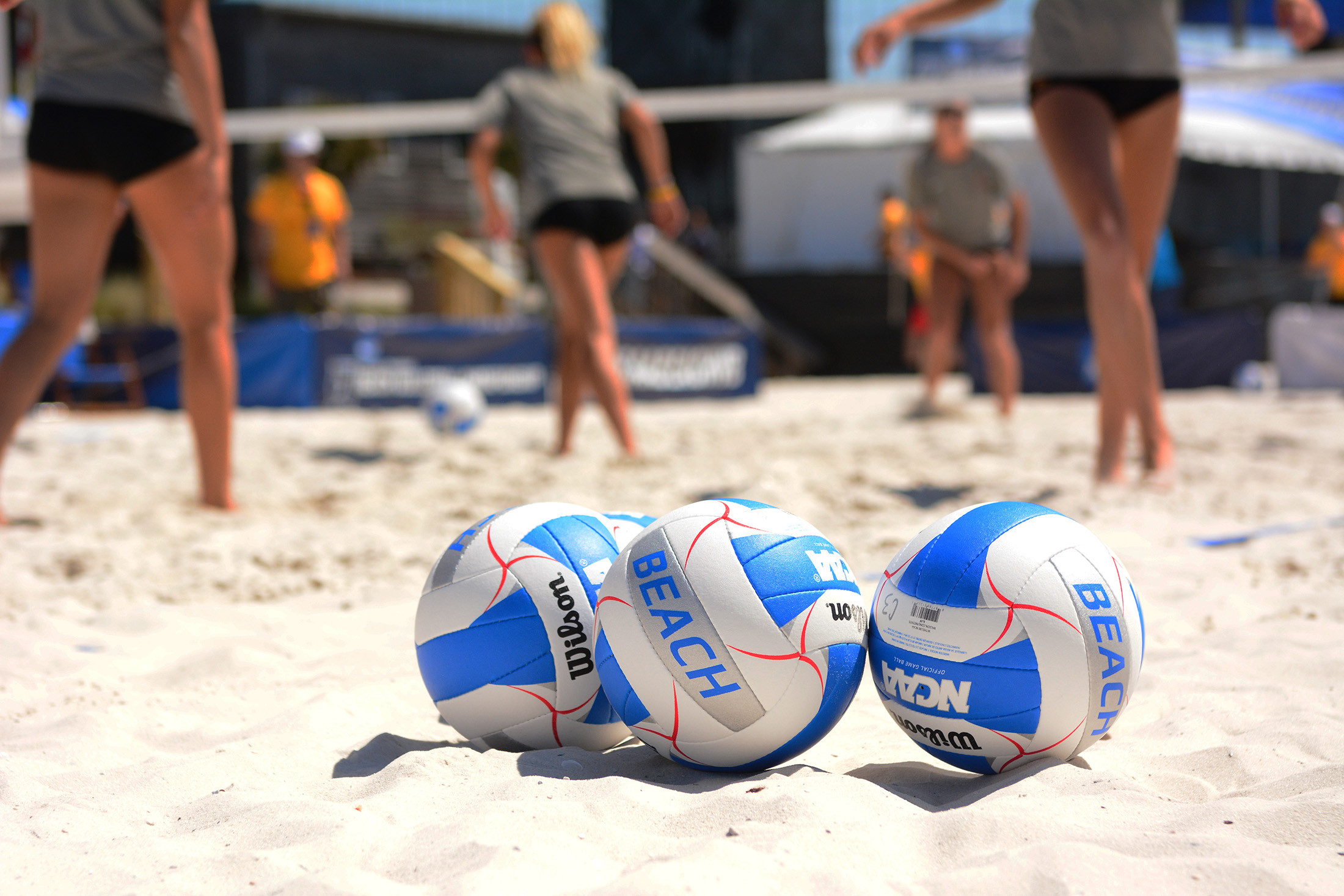 Gulf Shores awarded 20182022 National Collegiate Beach Volleyball