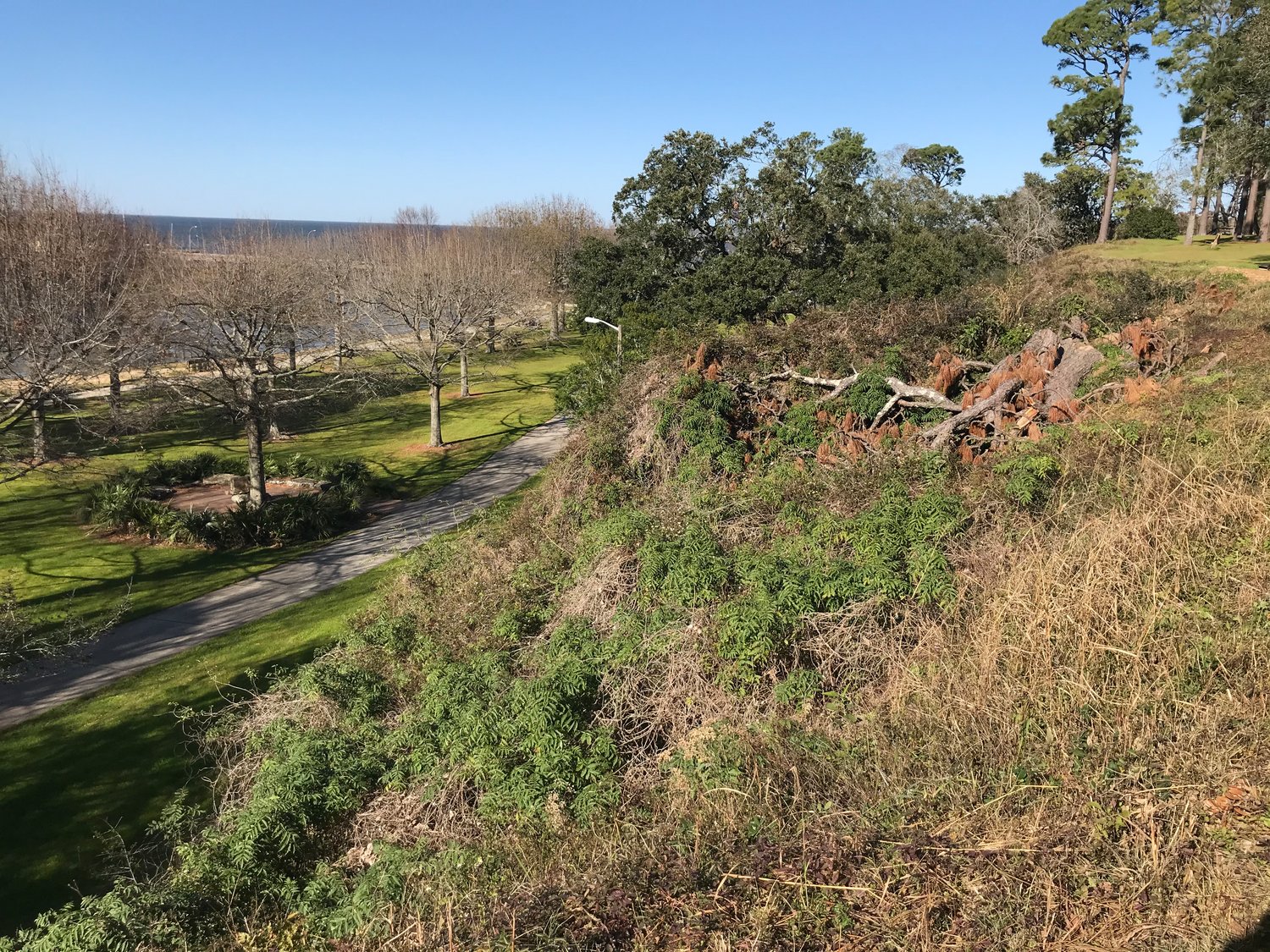 Bluff, beach changes dropped from Working Waterfront plan - Vimarsana News