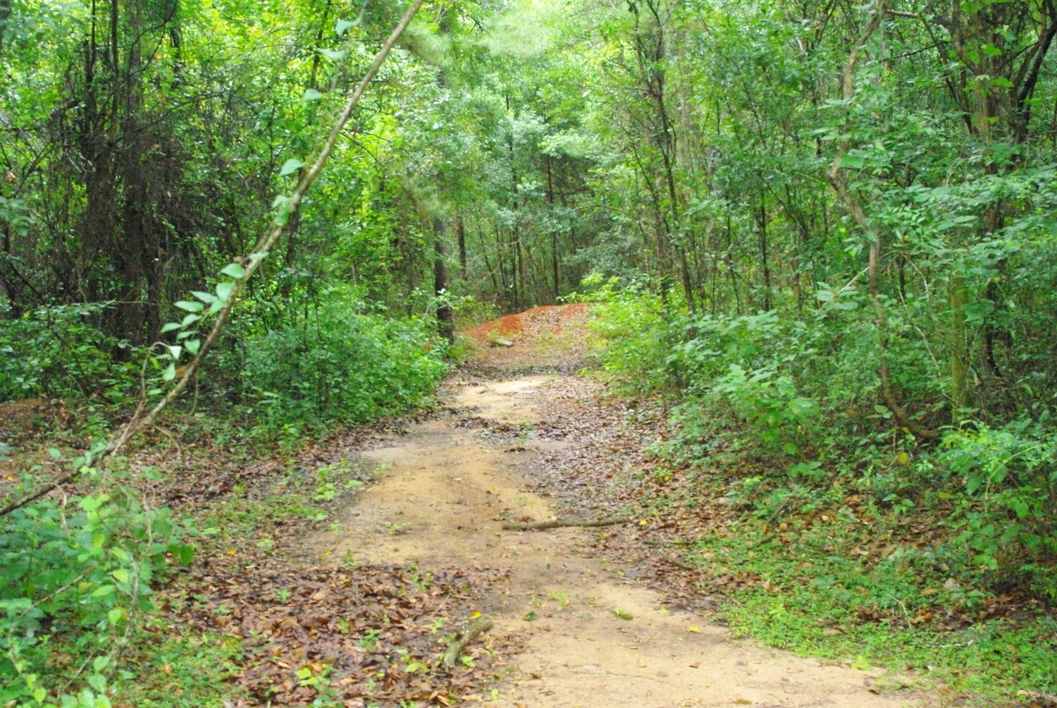 Fairhope seeking Triangle recreation grant - Vimarsana News