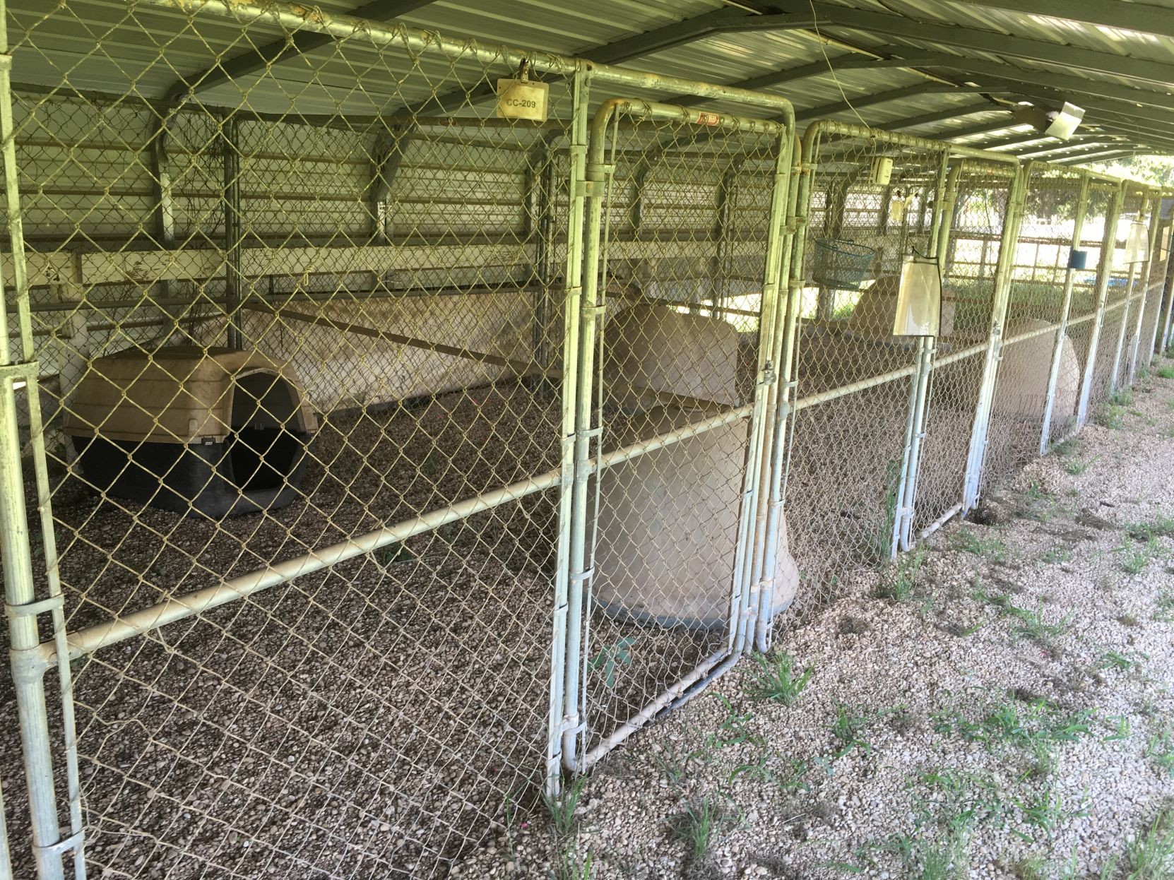 Empty kennels, low funds Texas Humane Heroes’ budget makes kennels