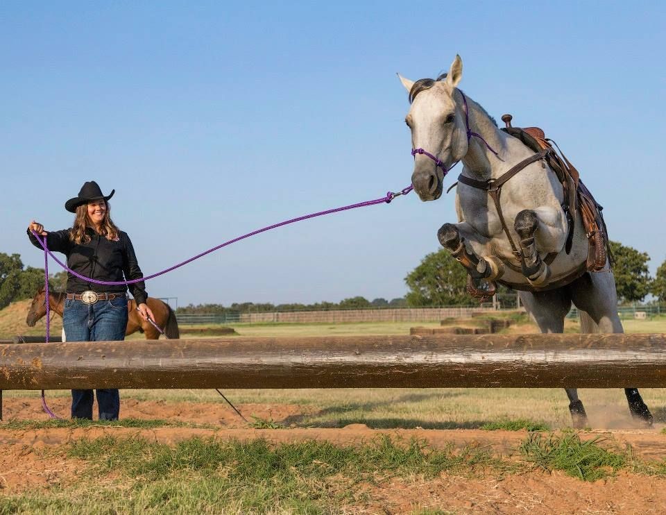 Recent Rouse grad now professional horse trainer Hill Country News