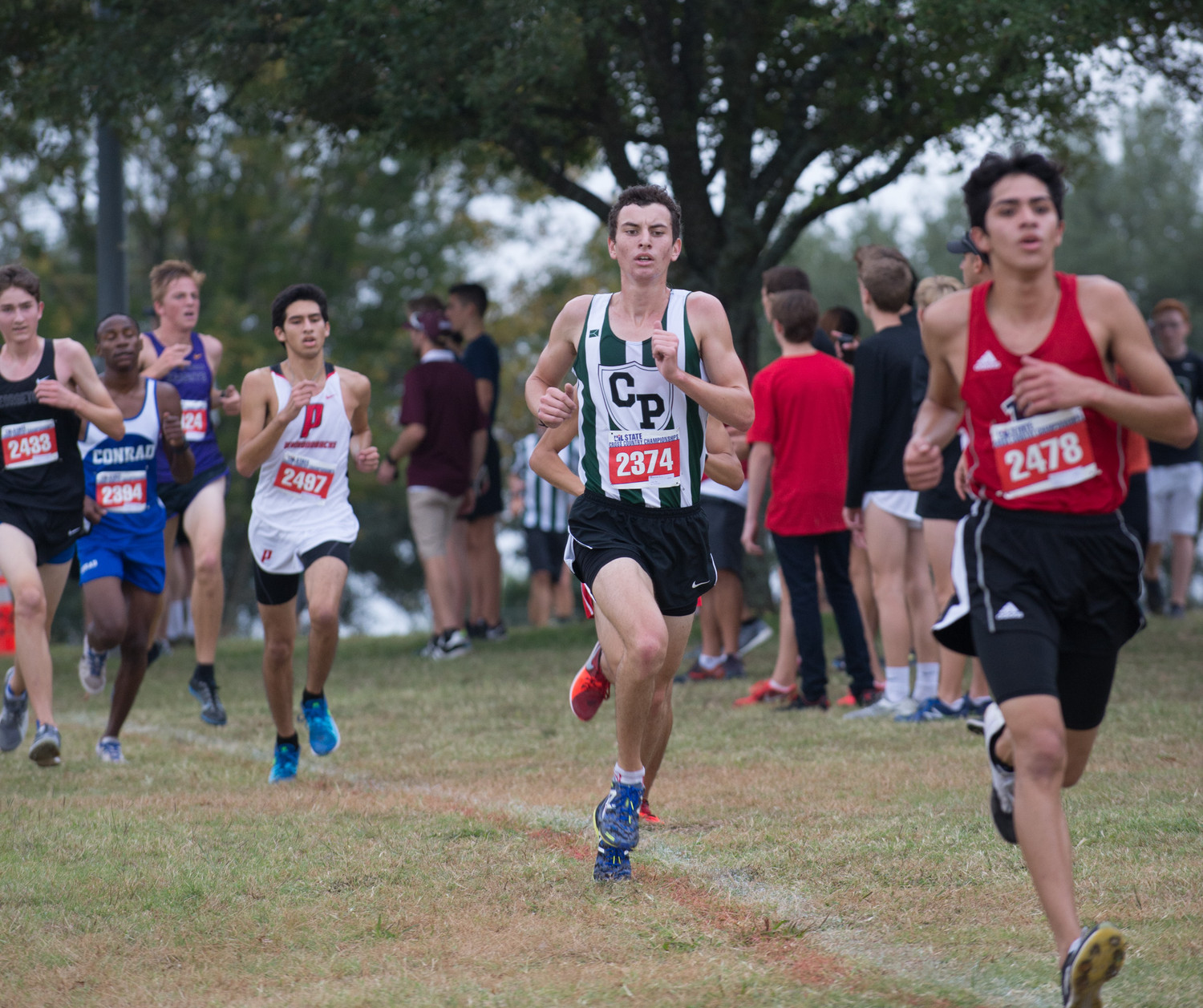 Cedar Park boys finish 3rd at cross country state meet Hill Country News