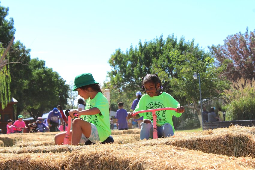 Students on a school field trip ride tricycles through a hay course at Mesilla Valley Maze on Sept. 20, 2024.