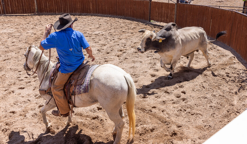 Rodeo action at the Farm & Ranch Heritage Museum.