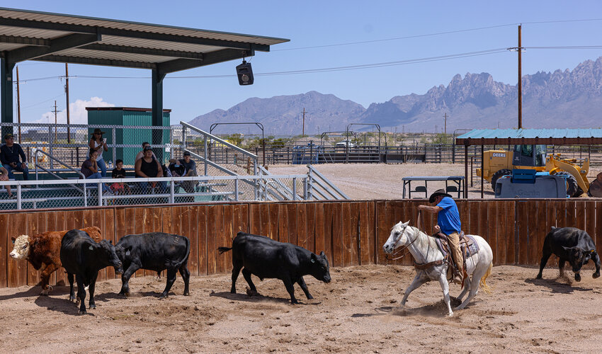 Rodeo action at the Farm & Ranch Heritage Museum.