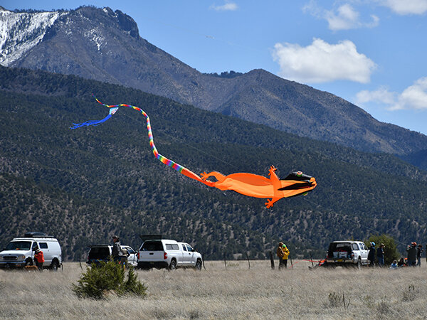 Kites of all shapes and sizes show up for this annual kitefest in Glenwood.