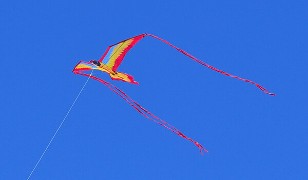 Kites of all shapes and sizes show up for this annual kitefest in Glenwood.