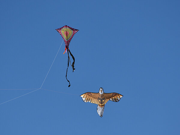 Kites of all shapes and sizes show up for this annual kitefest in Glenwood.