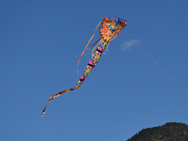 Kites of all shapes and sizes show up for this annual kitefest in Glenwood.