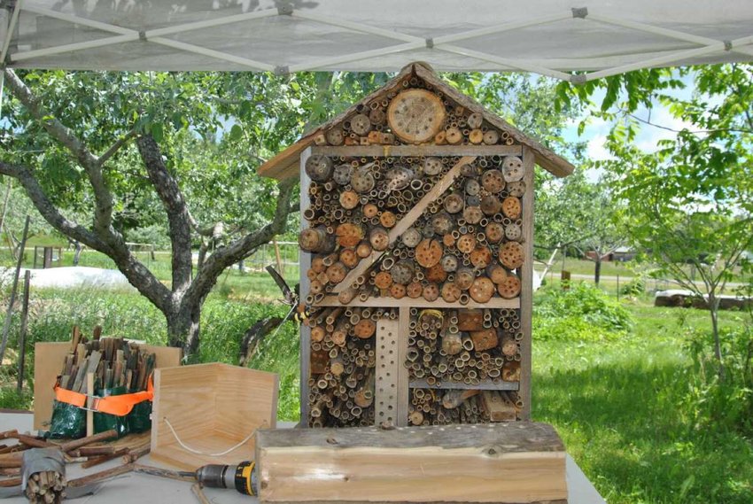 Prototype of a bee hotel
