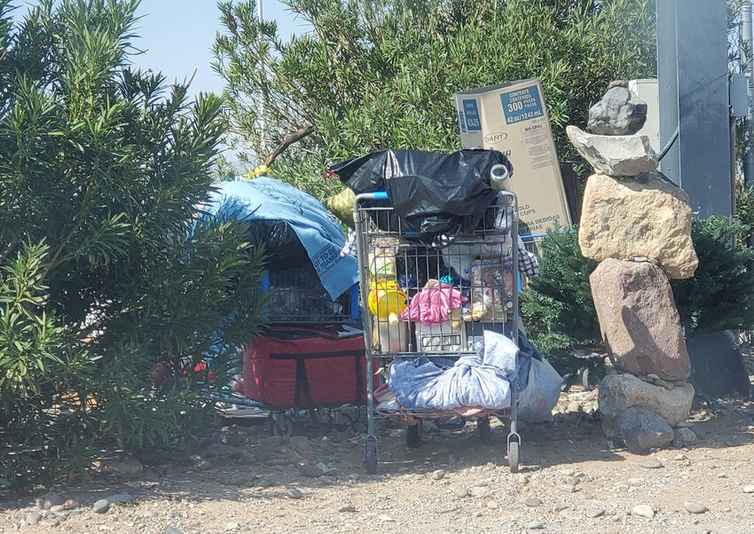 Homeless encampment with shopping carts on Avenida de Mesilla on Sept. 7, 2024.
