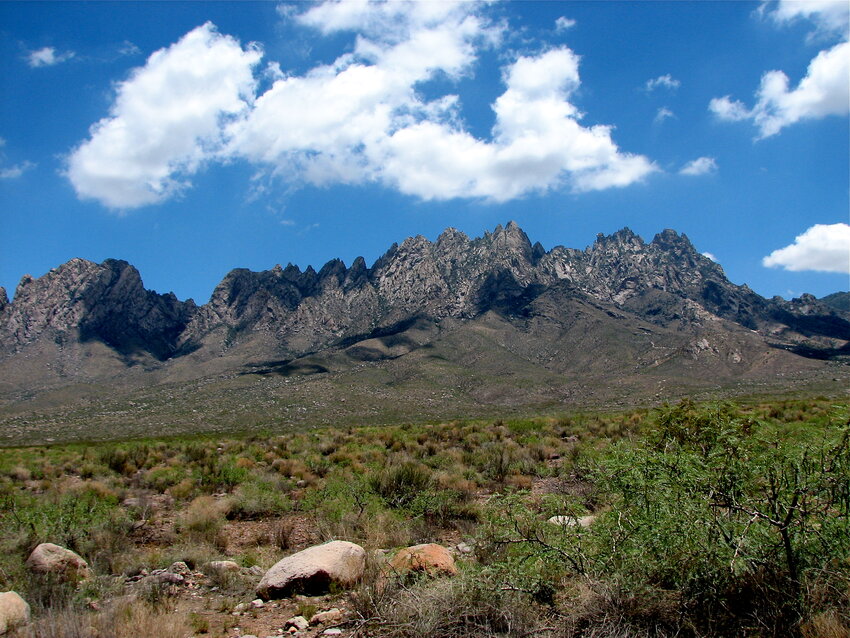 Organ Mountains