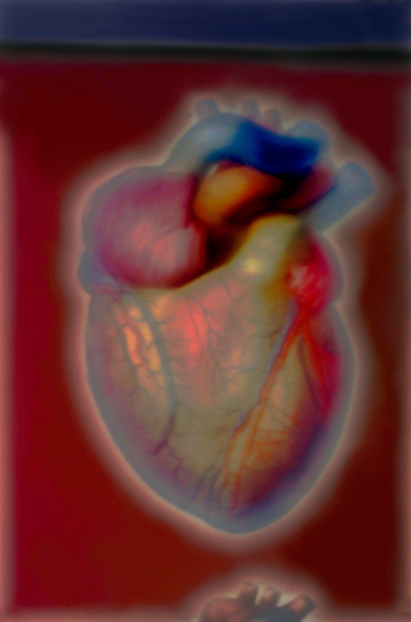 Spencer Renner "Heart" zone plate photograph,
archival pigment print.