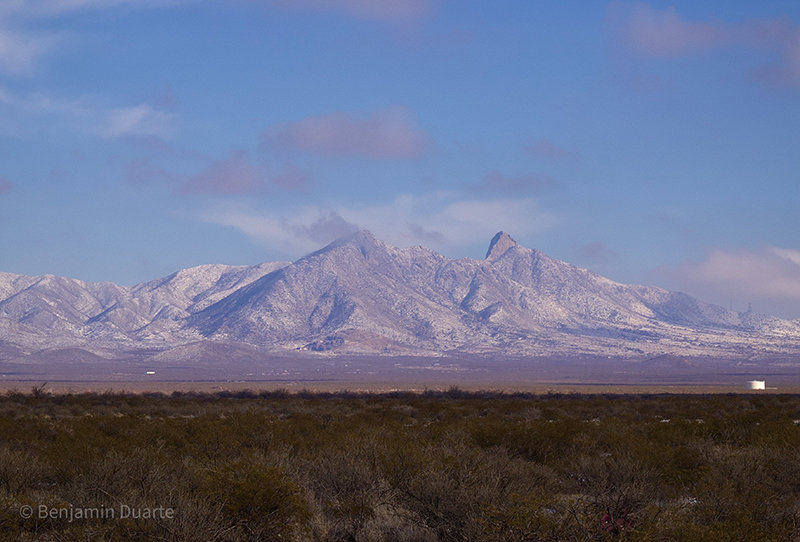 This photo was taken in February 15th of this year after a rare snowfall in Las Cruces.