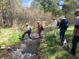 A group of Silver City residents hike the Continental Divide Trail.