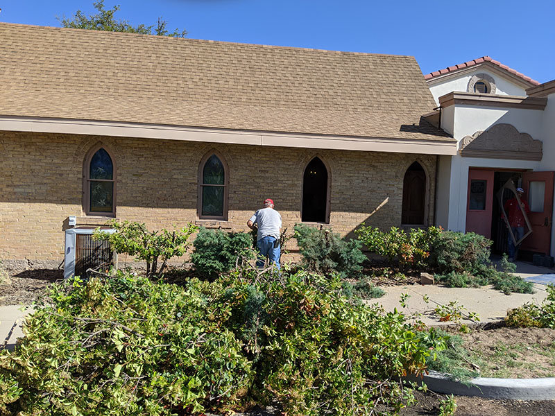 Shrubs were cut down to allow window installations on the south side of Kendrick Chapel.