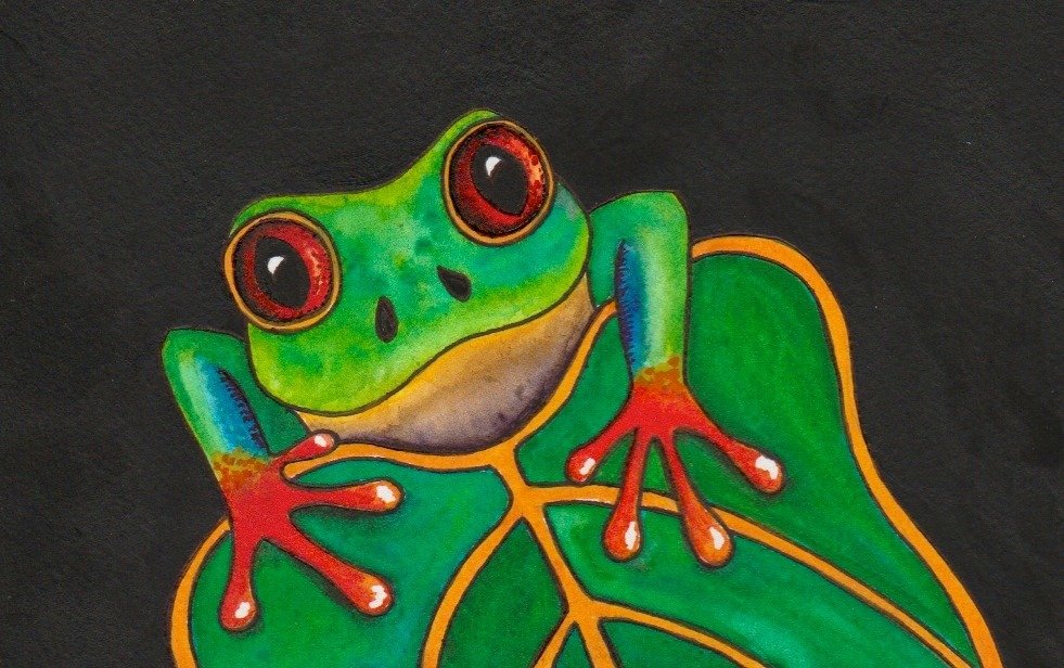 "Silly Tree Frog" by Mariah Walker