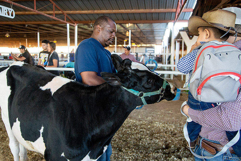 Tim Sneed shows off his daughter’s cow to Fernando Saenz and his 1-year-old son, Yariel Saenz, at the Southern New Mexico State fair on Saturday, Oct. 2.