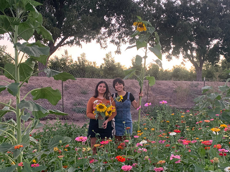 Kim Arenas and Yezenia Marquez had an opportunity to pick a vase of flowers at the Mesilla Valley Maze field Sunday, Oct. 10.