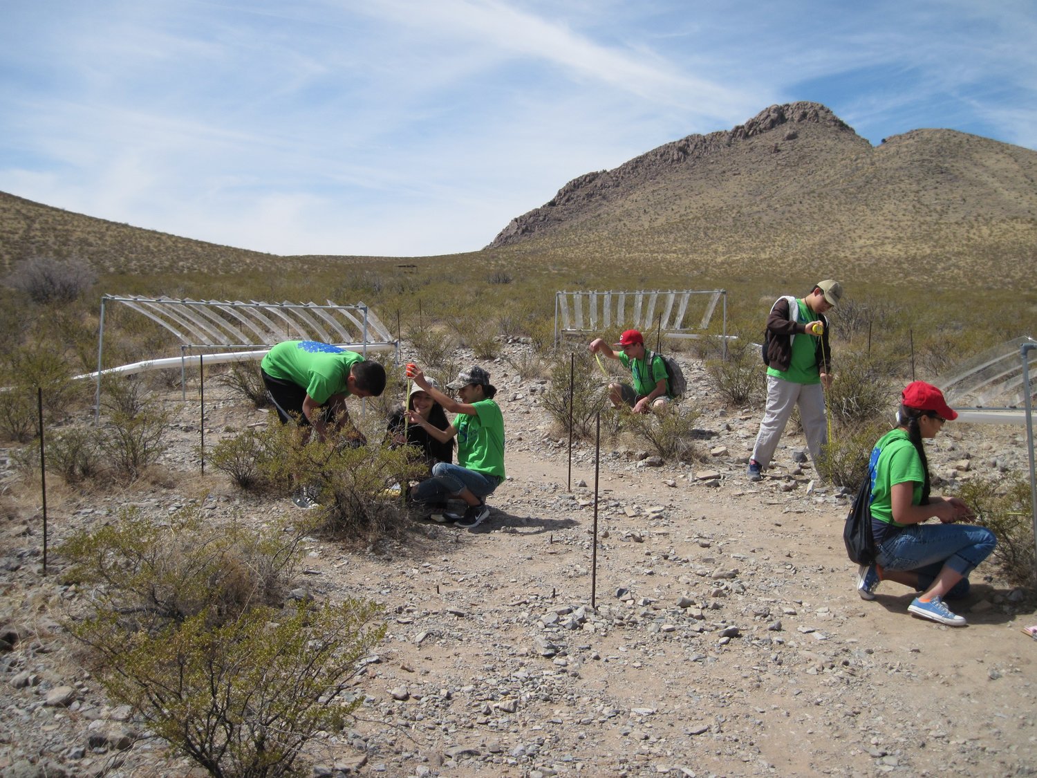 Students on a field trip at the Chihuahuan Desert Nature Park, where they collect and interpret data to learn more about desert ecology and local research projects.