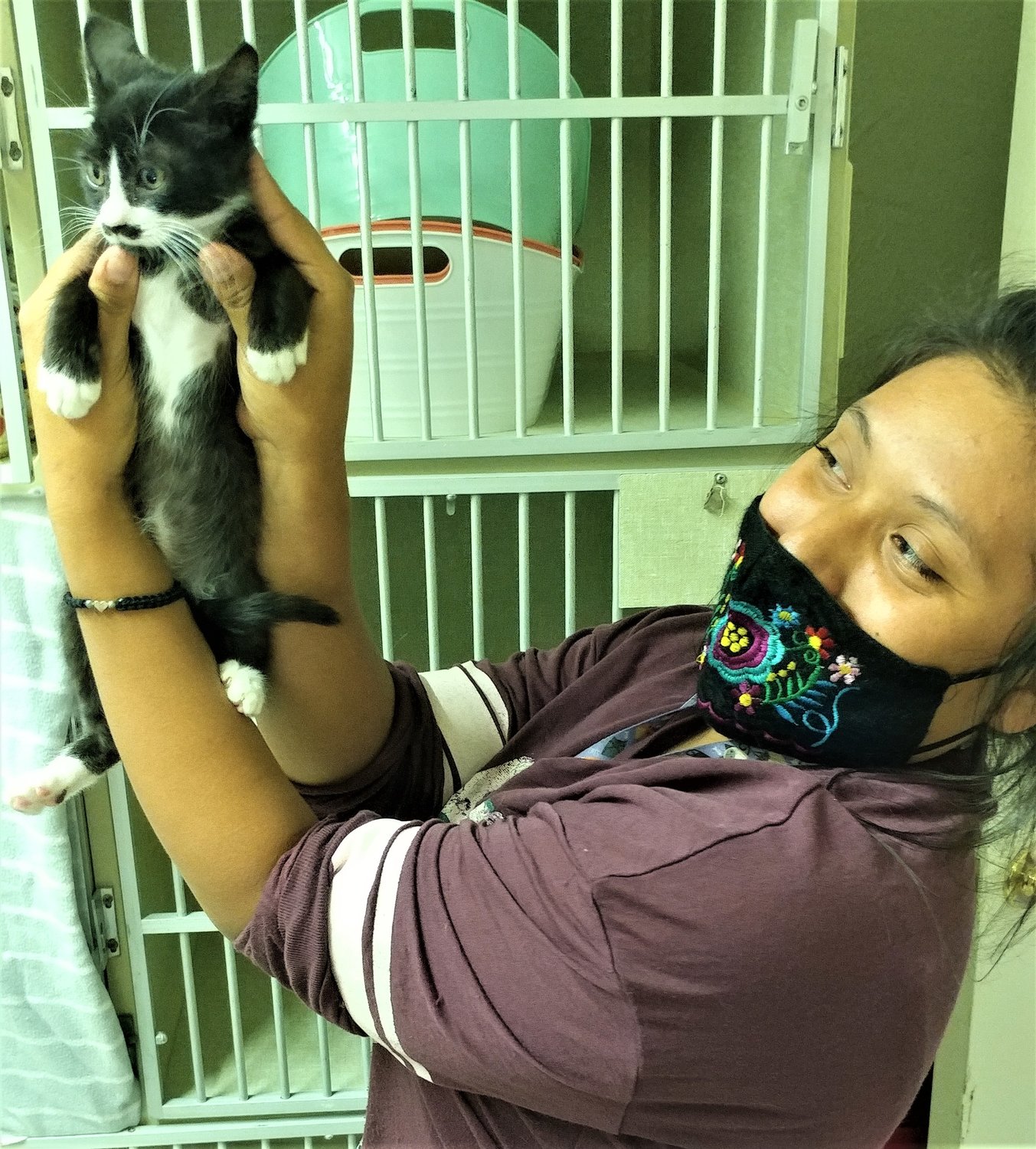 Stashy the kitten with ACTion Programs for Animals caregiver Jessica Cervantes. Check with APA to see if he’s stiff waiting to be adopted. If not, there are many other loveable dogs and cats just waiting to be taken home.