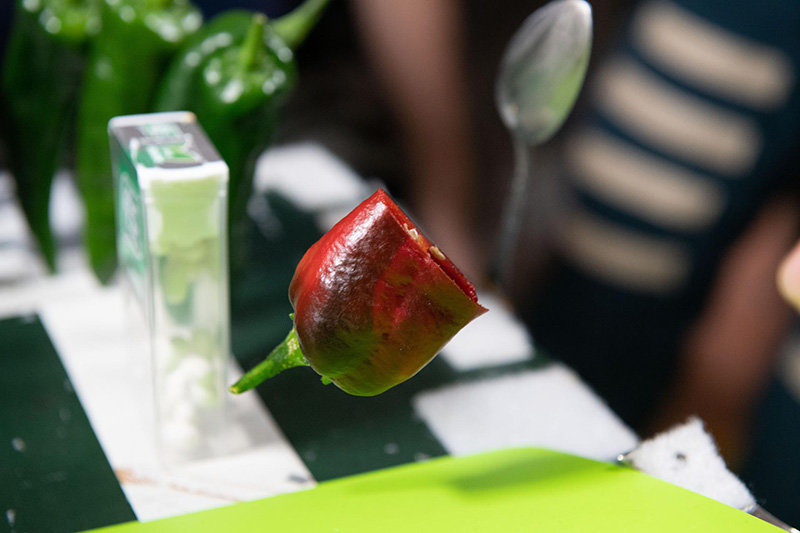 A red chile pepper floats above a cutting board during the tasting of peppers grown as part of NASA’s Plant Habitat-04 investigation aboard the International Space Station. The chile is a NuMex “Española Improved” variety, which was developed at New Mexico State University.