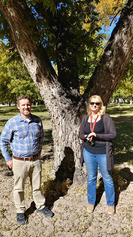 New Mexico State University professors and Ph.Ds. Richard Heerema and Jennifer Randall are shown 
with one of the pecan trees planted in 1915 by legendary NMSU horticulturalist and agriculture icon Fabian Garcia. The trees are located at the Fabian Garcia Science Center at 113 W. University Ave., a few blocks west of the intersection of University Avenue and south Main Street.