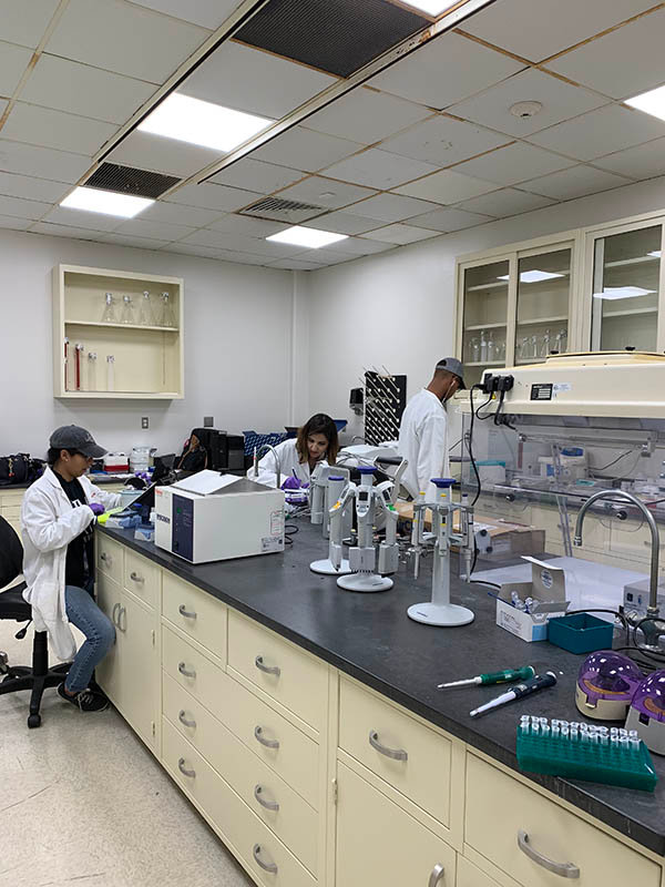 Left to right are Kim Cervantes, Hormat Shadgou Rhein and Liam St. Hilaire extracting DNA from pecan trees in Texas in 2019. The three are students of Jennifer Randall, a plant molecular biologist and plant pathologist in the NMSU Department of Entomology, Plant Pathology and Weed Science, and director of NMSU’s Molecular Biology Graduate Program.