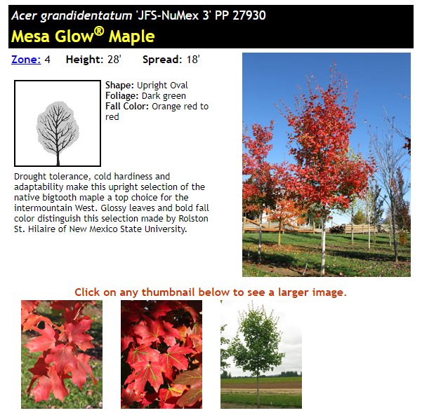 Mesa Glow’s page on the J. Frank Schmidt & Son Co. website