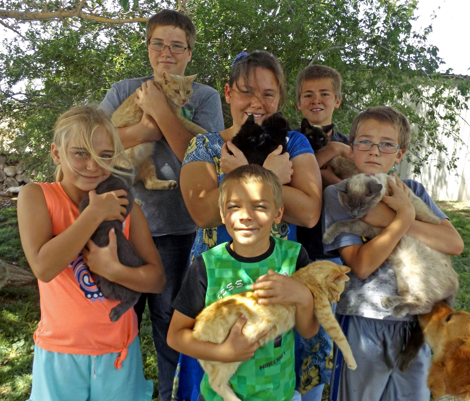 Steffanie Mininger and family Priscilla, 10; Luke, 14; Steffanie; Ben, 12; Doug, 11; and Isaac, 9, are part of a network of rescue families who care for homeless cats, kittens both domesticated and feral.