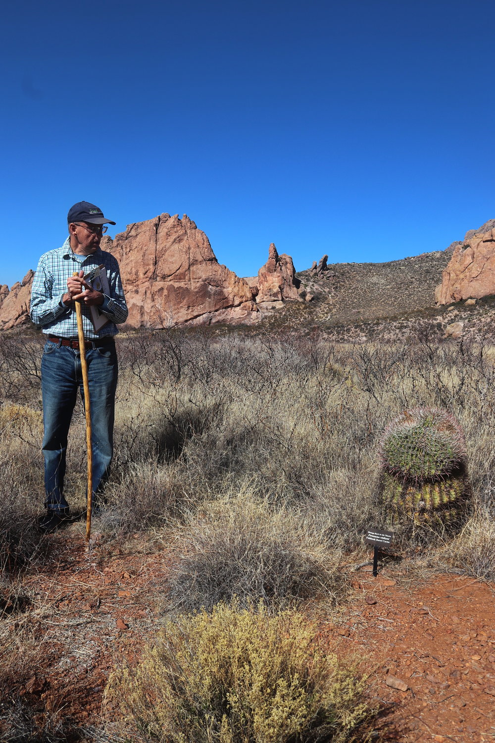 John Freyermuth, the leader of a Sunday nature walk, points out an unusual barrel cactus which has been weather damaged.
