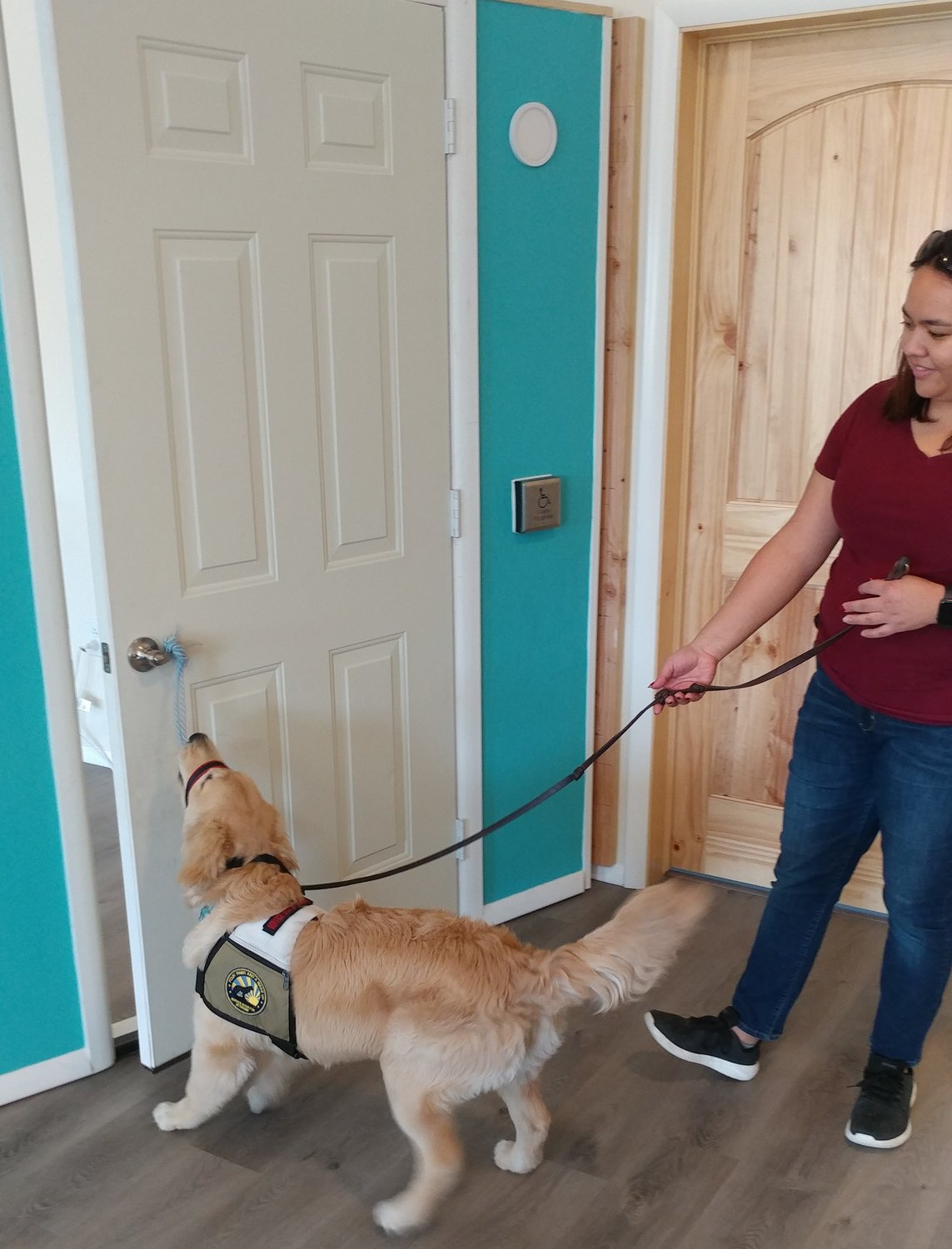 With trainer Aly De La O, golden retriever CB is learning to open and close doors. She uses her nose to close the door, so it doesn’t get scratched.