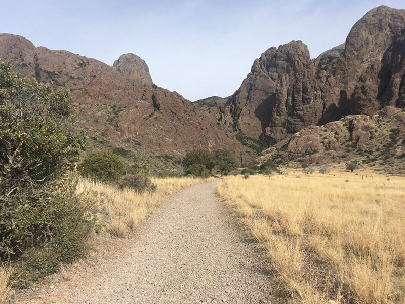 The Las Cruces Museum of Nature & Science, 411 N. Main St., presents, “Desert Safety Workshop: Hiking Awareness and Safety,” presented by guest speakers from Mesilla Valley Search and Rescue, at 2 p.m. Saturday, March 12, 2022.