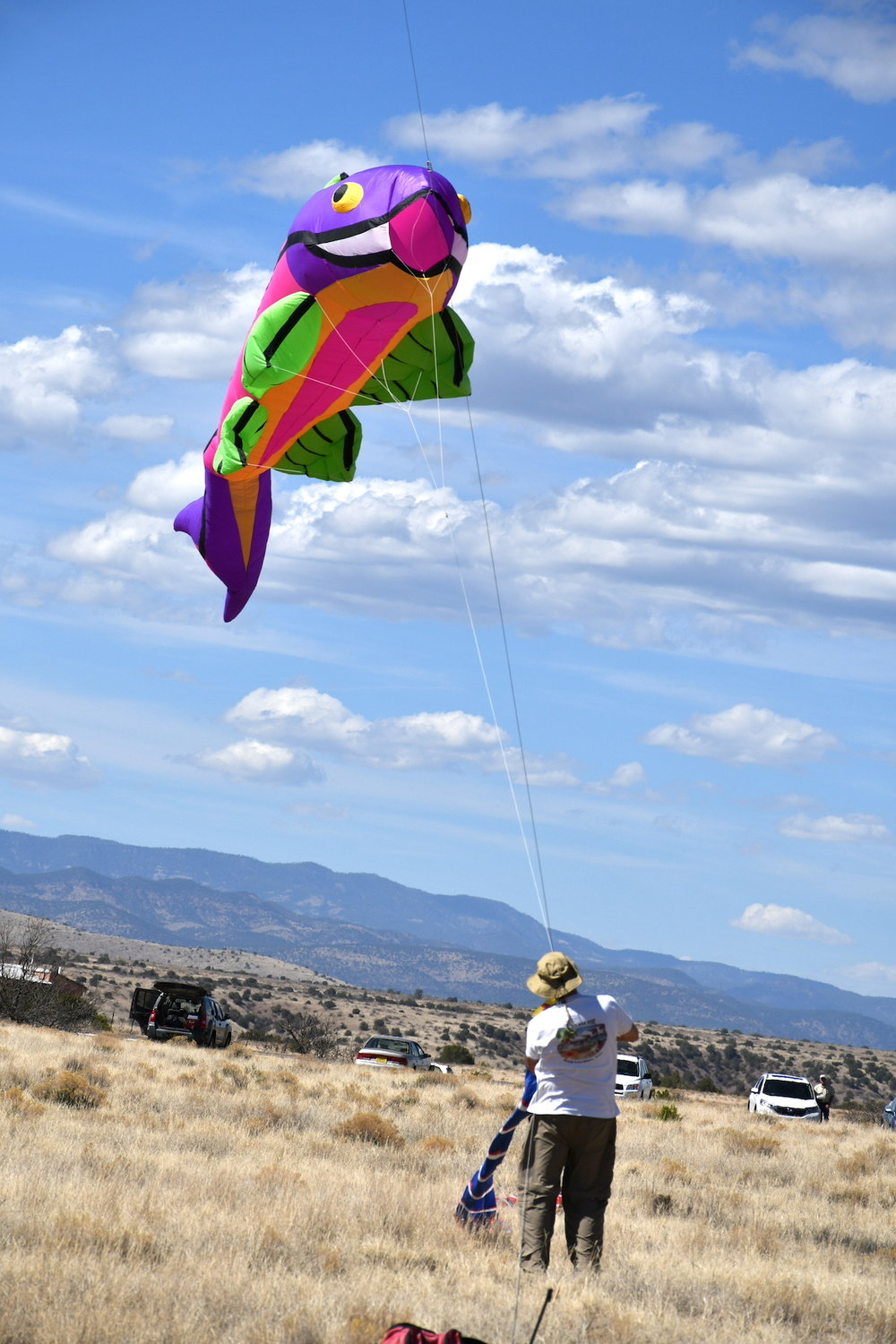 This colorful fish kite was a big hit at a previous kitefest.