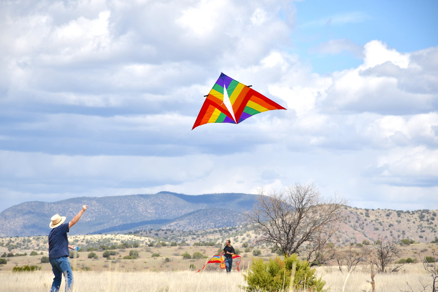 Kites of all shapes and sizes show up for this annual kitefest.
