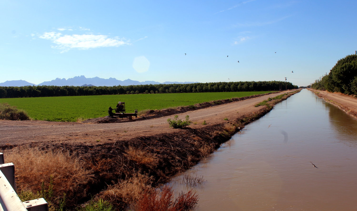 An irrigation canal in the Mesilla Valley