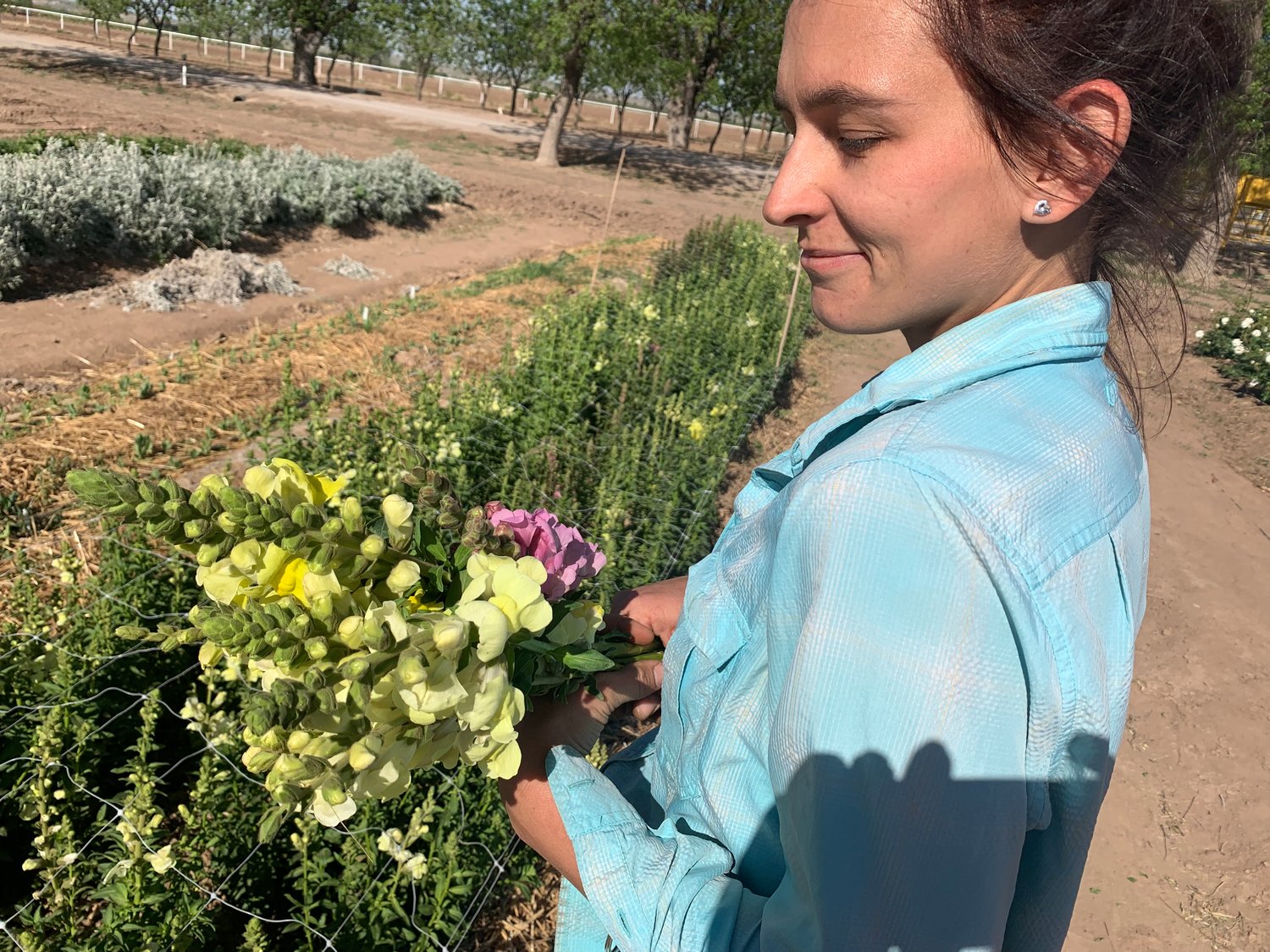 Susannah Calhoun with a recently harvested bunch of snapdragons.