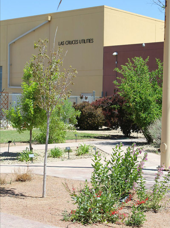 Welcome back to the annual Las Cruces Utilities Spring Stroll in the Garden from 9 a.m. to noon Thursday, May 26, 2022 at the Las Cruces Utilities Building, 680 N. Motel Boulevard.
