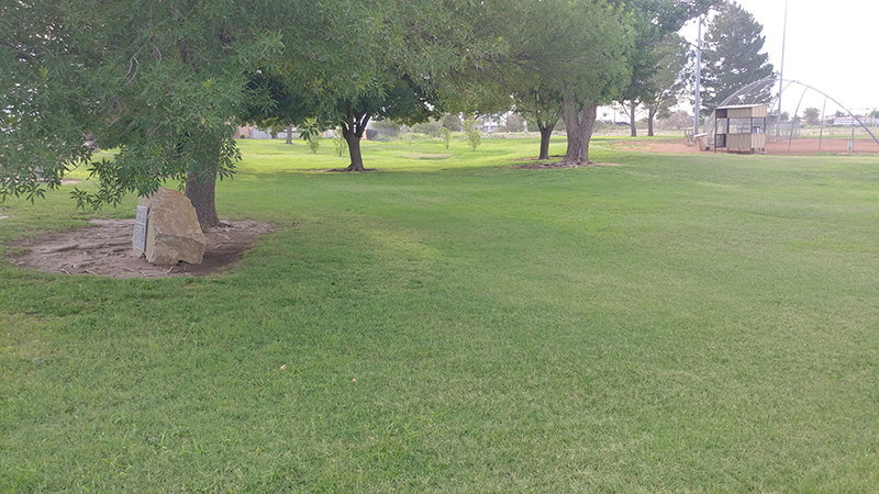 Branigan Park includes acres of grass and many old, healthy trees.