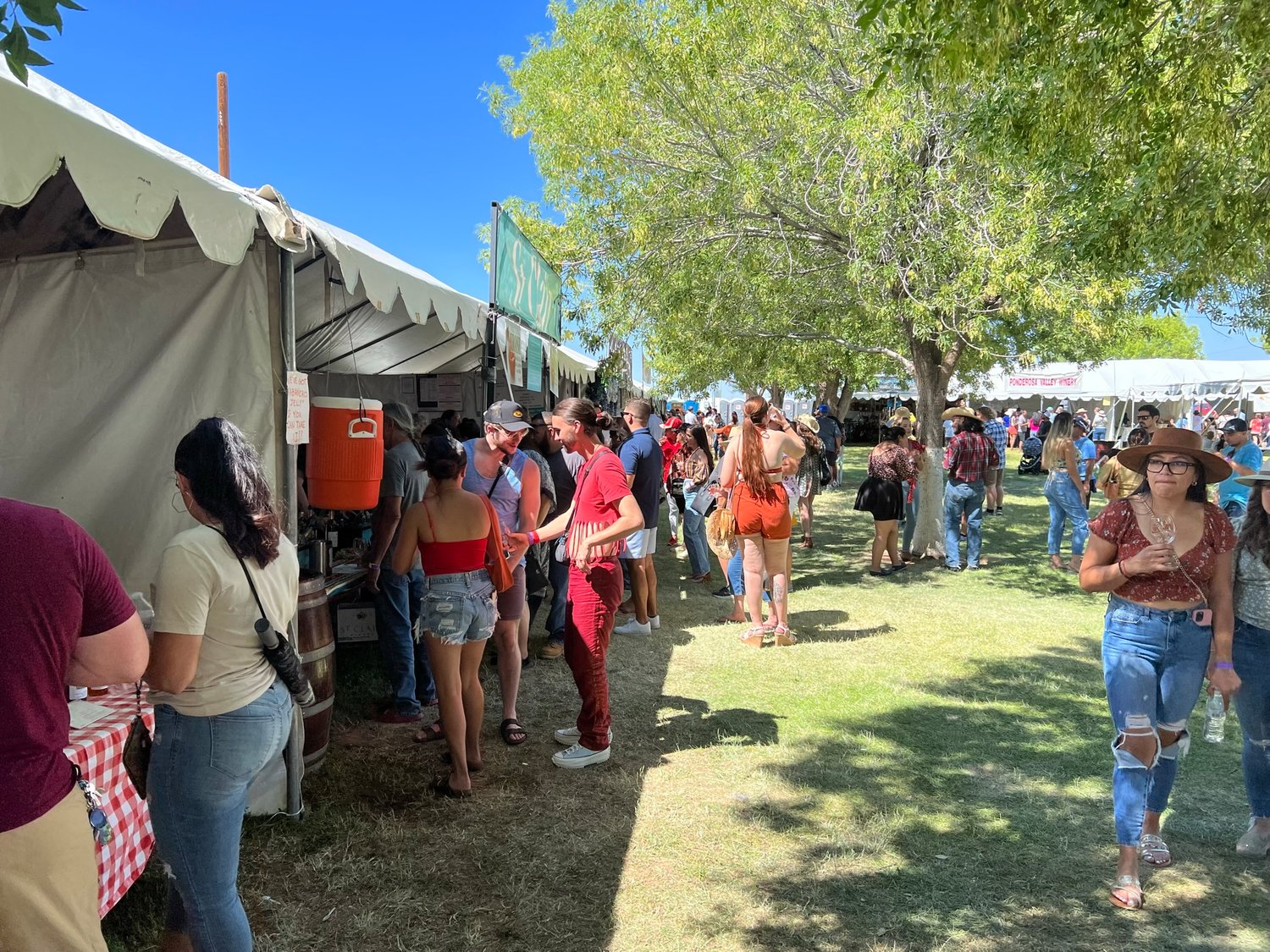 Las Cruces Harvest Wine Fest highlights Las Cruces Bulletin