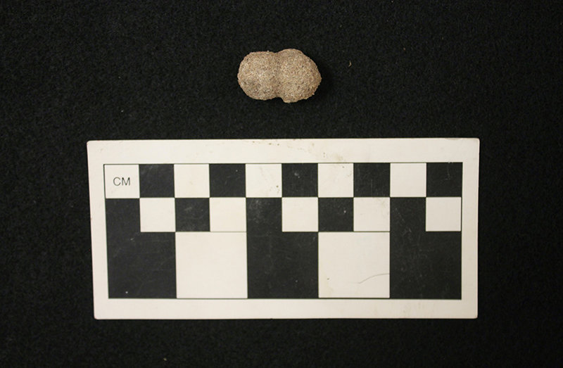 This artifact found by researchers in Chavez Cave, was mislabeled as a fishing weight. According to Zuni elders, it has a special meaning. It is among the artifacts that will be on display as part of the University Museum exhibition "Humanhood in the Organ Mountains: Prehistory."
