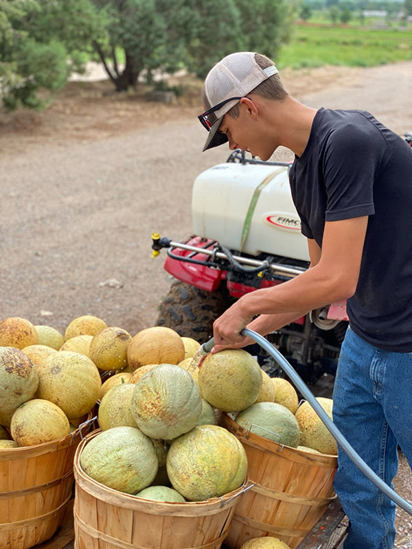 Each year, Las Cruces Public Schools applies and receives funds from the State of New Mexico to participate in the New Mexico Grown program.