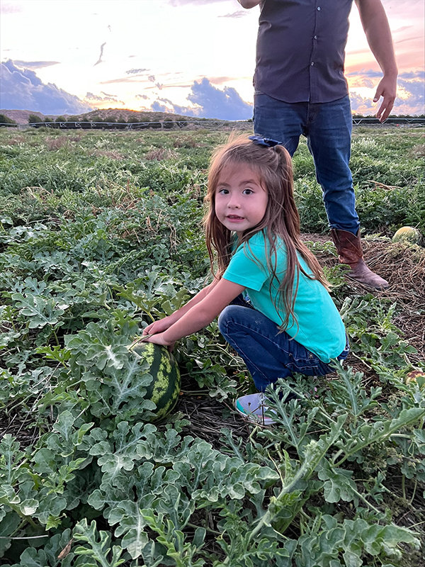 Each year, Las Cruces Public Schools applies and receives funds from the State of New Mexico to participate in the New Mexico Grown program.