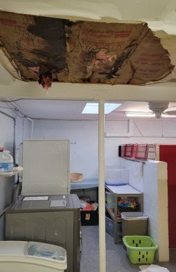 APA Ceiling damage