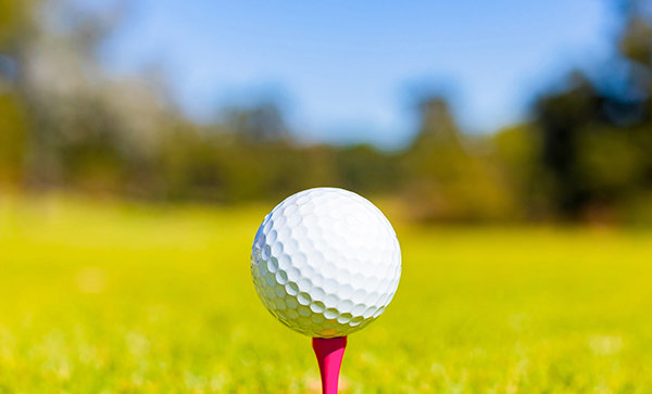 A shallow focus of a golf ball on a tee in a course