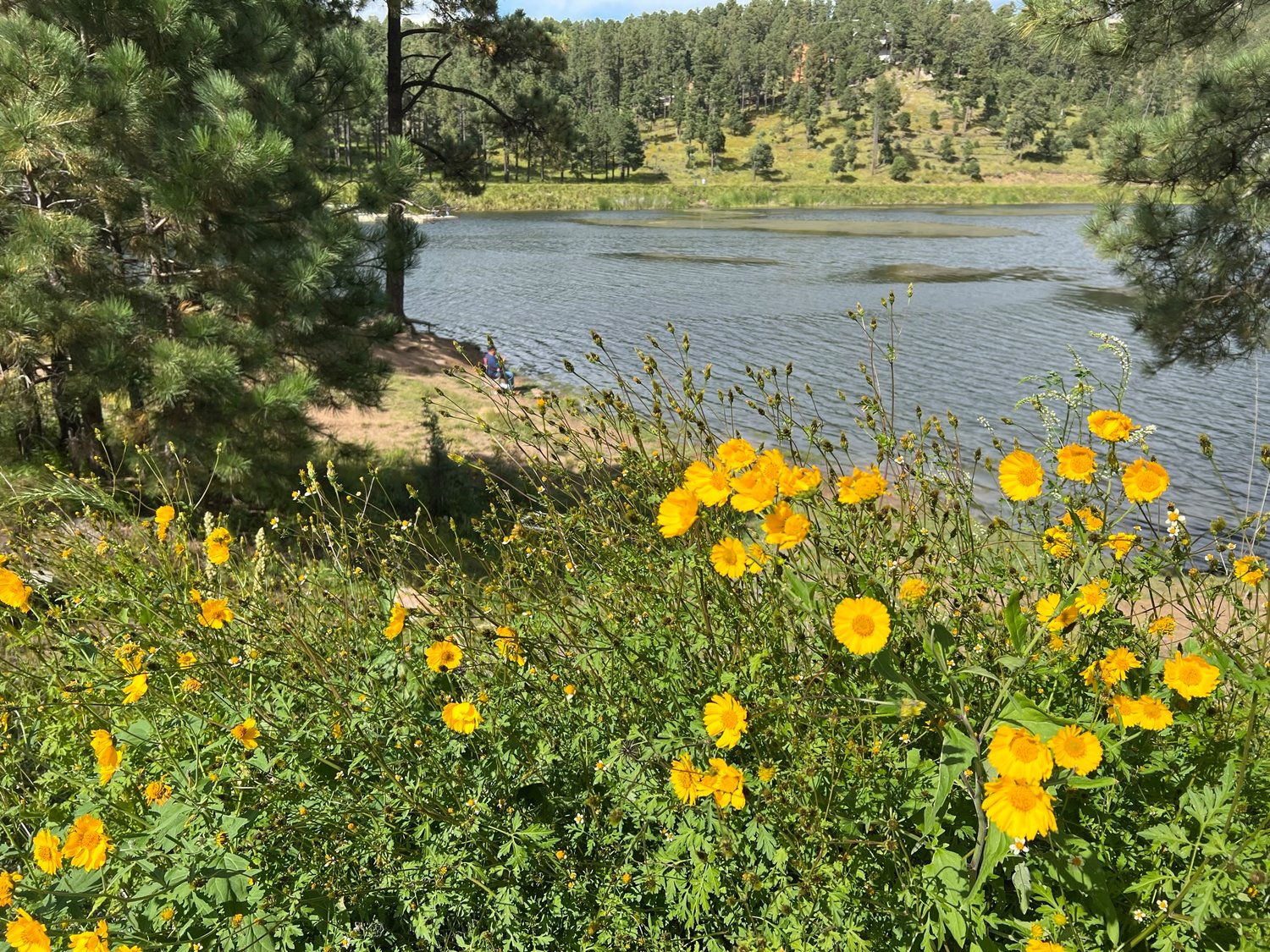 Alto Lake in Lincoln County near Ruidoso can provide a cool respite for those seeking some October relief from the heat of the desert.